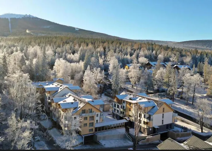 Kilinskiego 17a 公寓 *